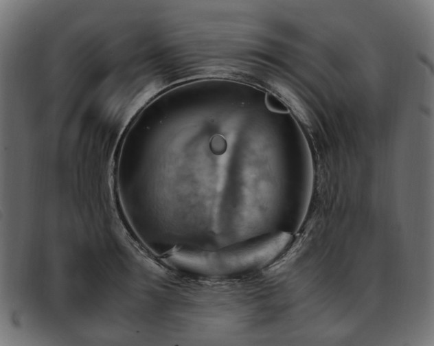 X0000093590899200710151202