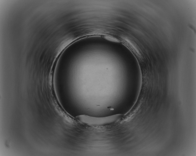 X0000093590900200710151202