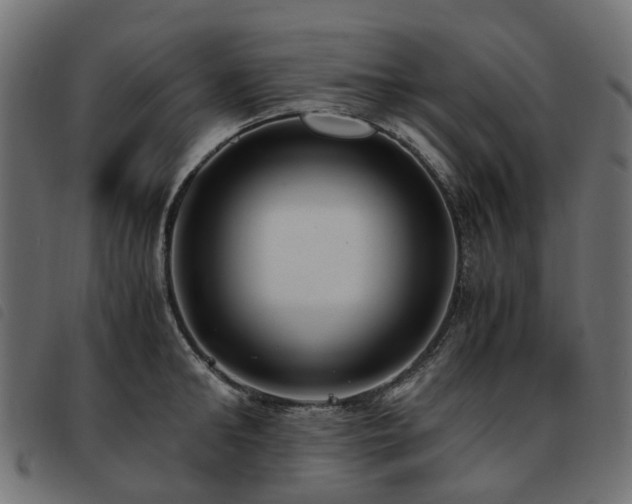 X0000093590902200710151202