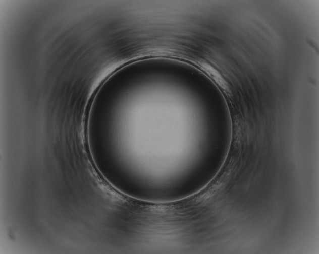 X0000093590904200710151202
