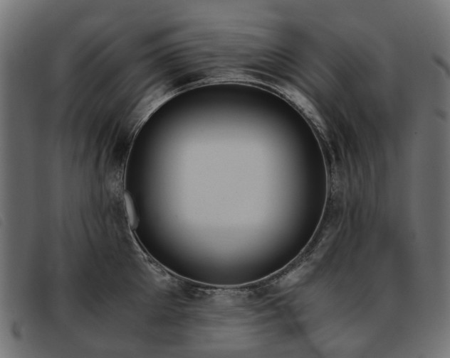 X0000093590905200710151202