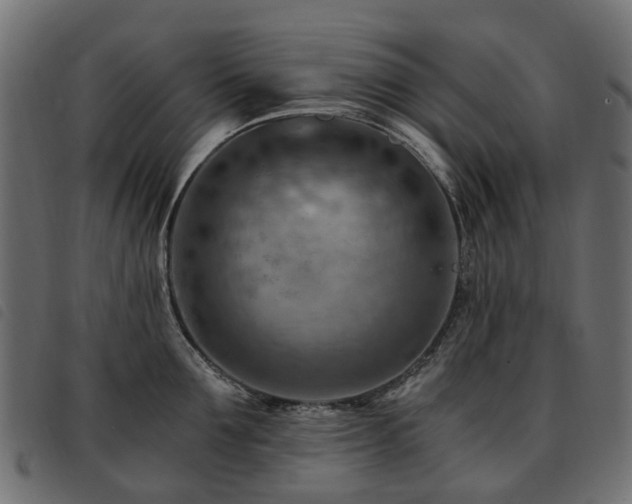 X0000093590907200710151202