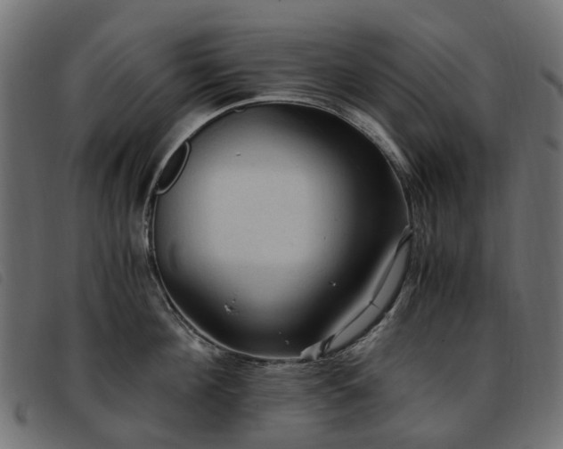 X0000093590908200710151202