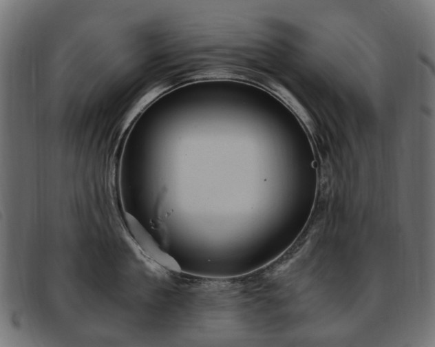 X0000093590909200710151202