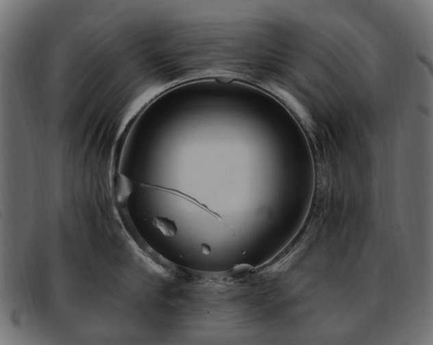 X0000093590910200710151202