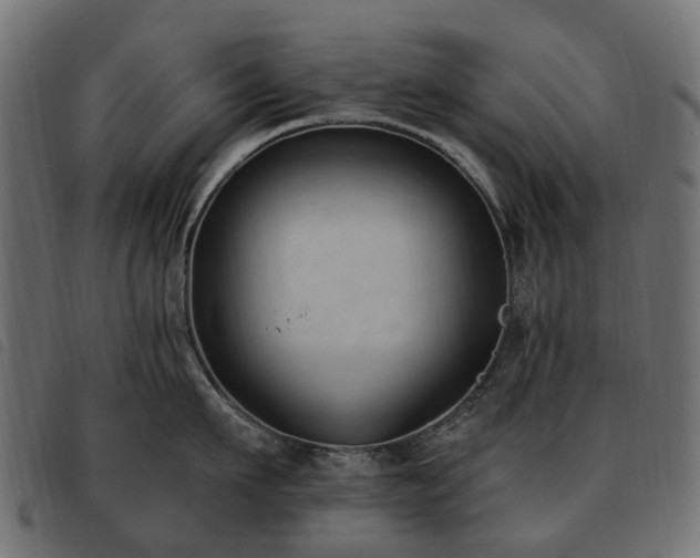 X0000093590911200710151202