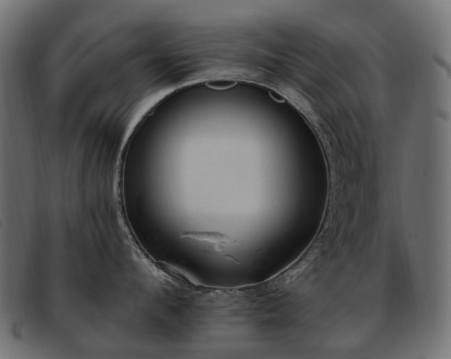 X0000093590912200710151202