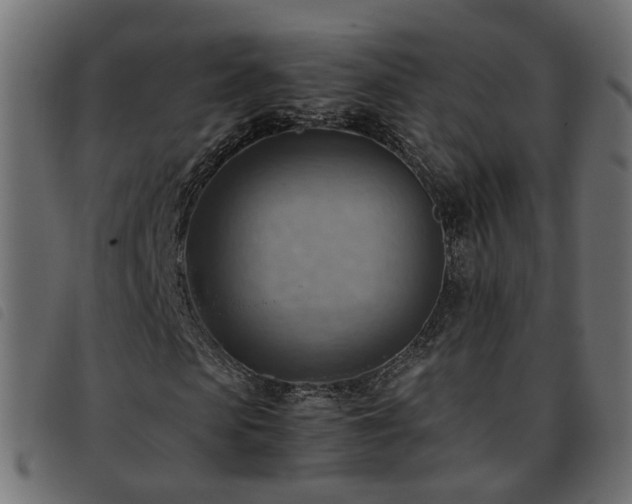 X0000093590913200710151201