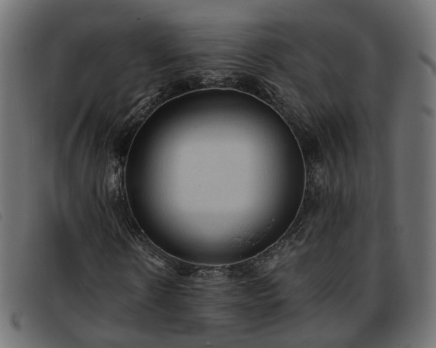 X0000093590914200710151201