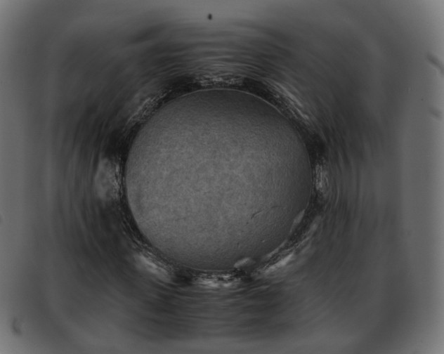 X0000093590915200710151201