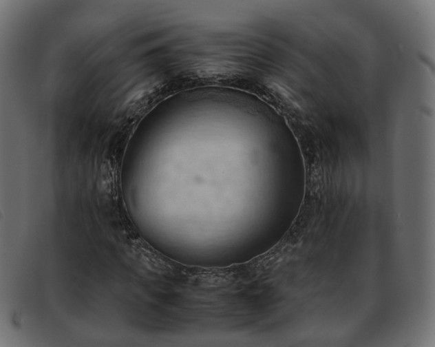 X0000093590917200710151201