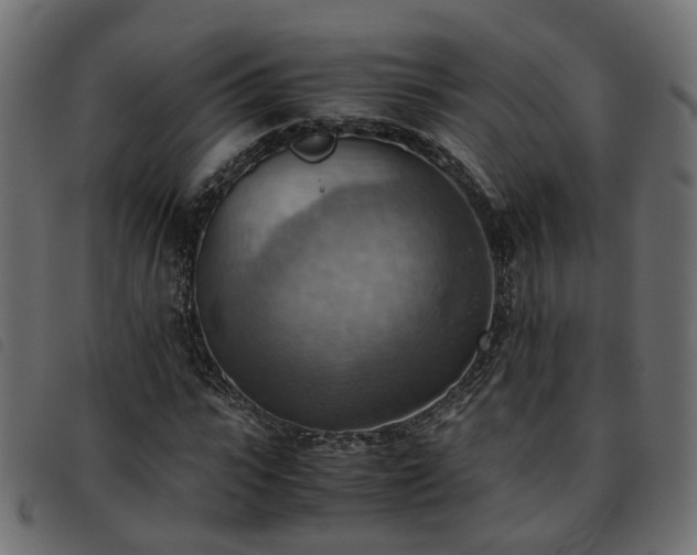 X0000093590919200710151201