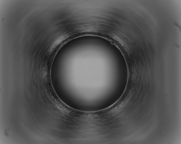X0000093590922200710151201