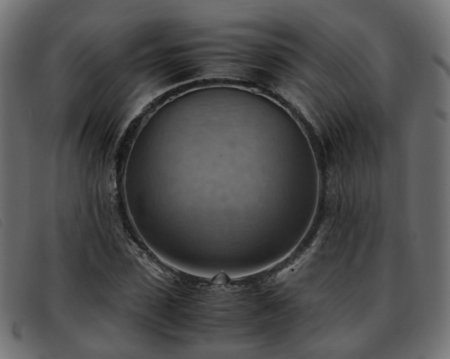 X0000093590923200710151201