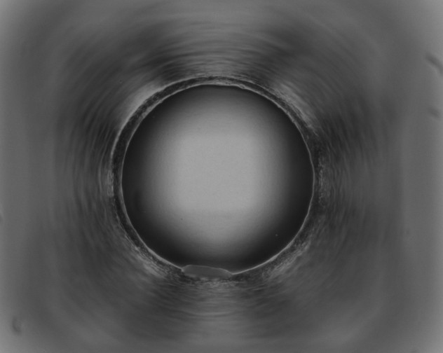 X0000093590924200710151201