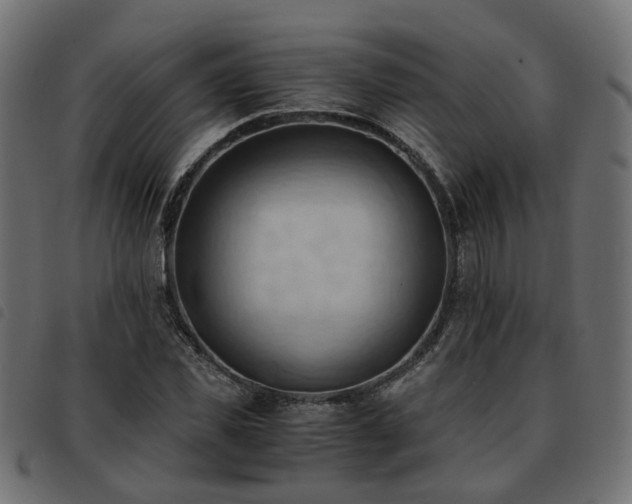 X0000093590925200710151201