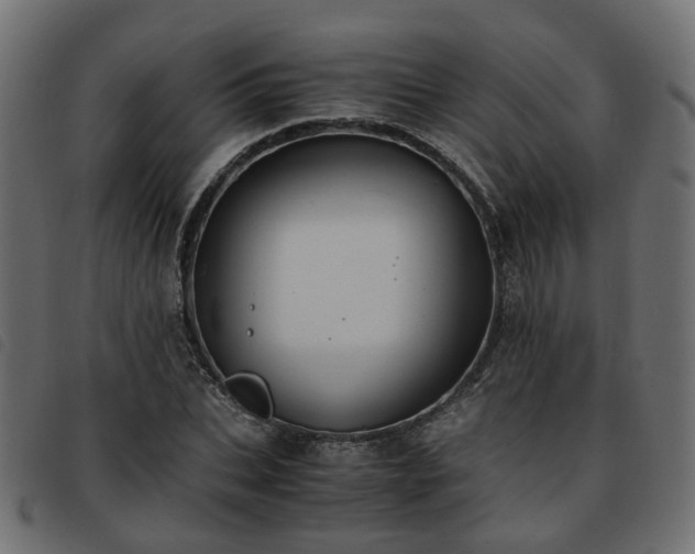 X0000093590927200710151201
