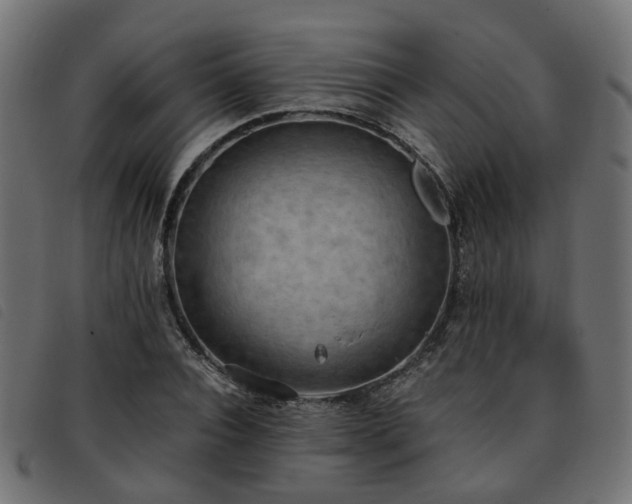 X0000093590928200710151201