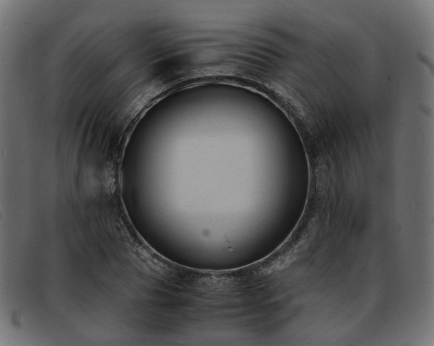 X0000093590929200710151201