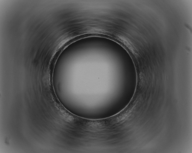 X0000093590931200710151201