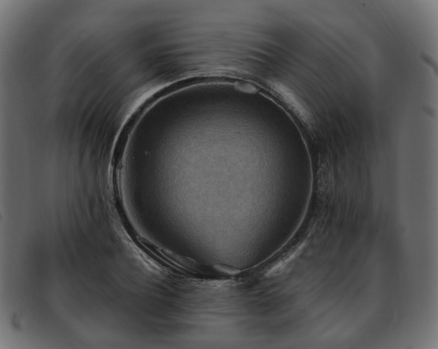 X0000093590932200710151201