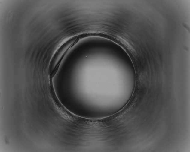 X0000093590934200710151201