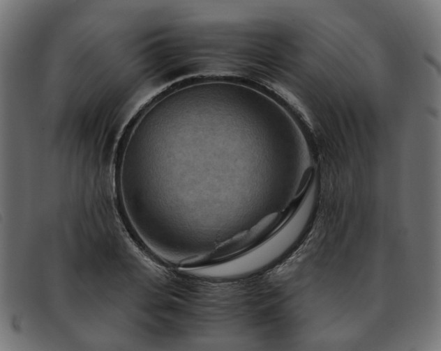 X0000093590935200710151201
