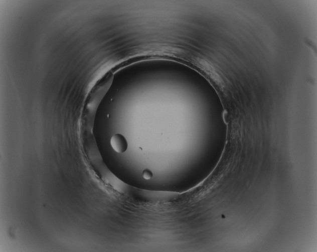X0000093590936200710151201