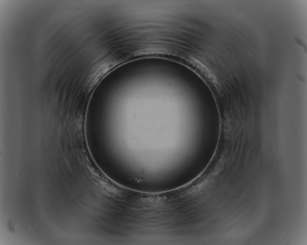 X0000093590937200710151201