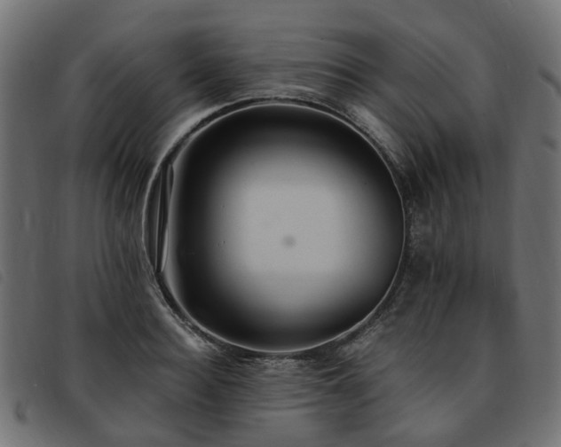 X0000093590940200710151201
