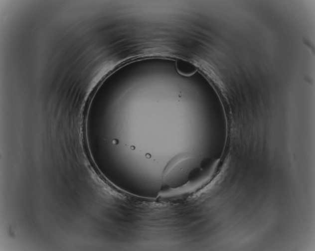 X0000093590941200710151201