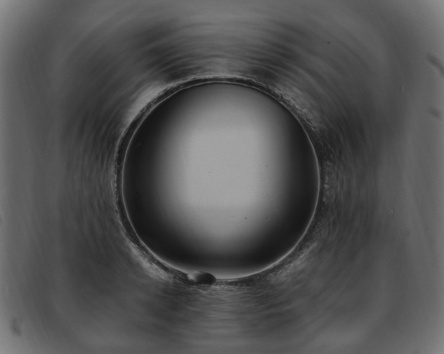 X0000093590942200710151201