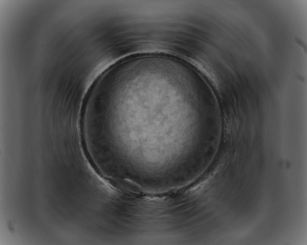X0000093590943200710151201