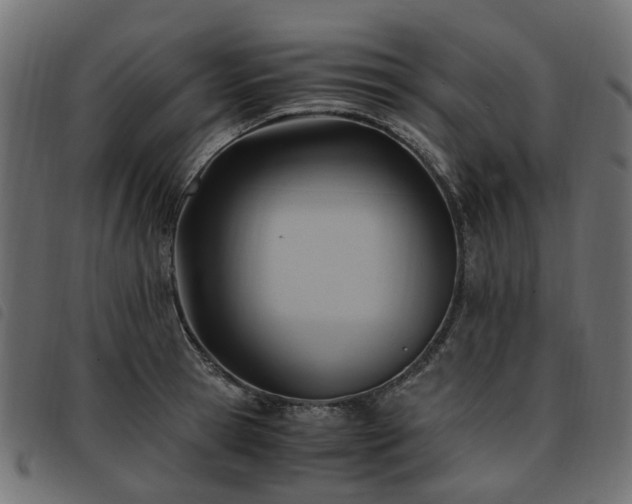 X0000093590945200710151201