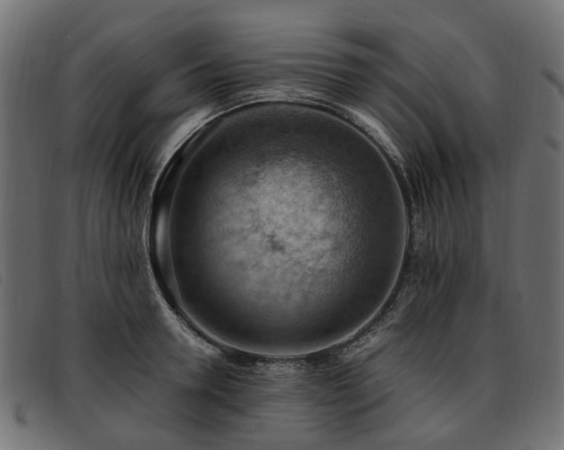 X0000093590946200710151201