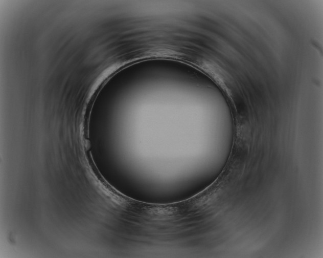 X0000093590947200710151201