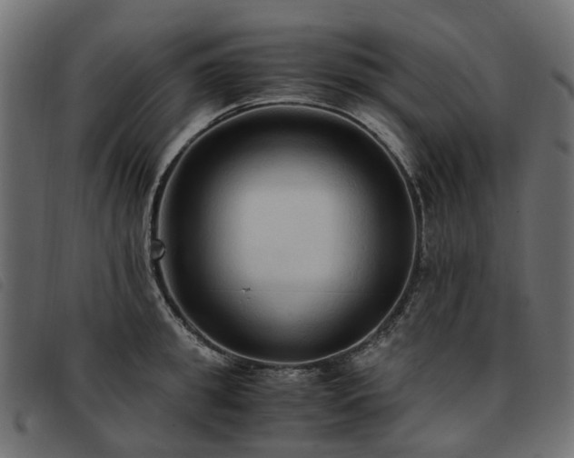 X0000093590949200710151201