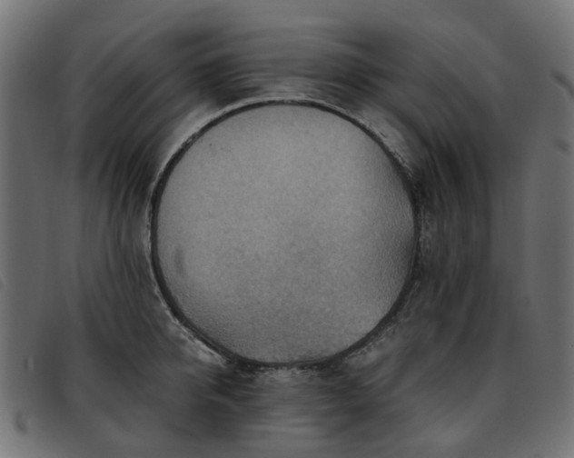 X0000093590950200710151201