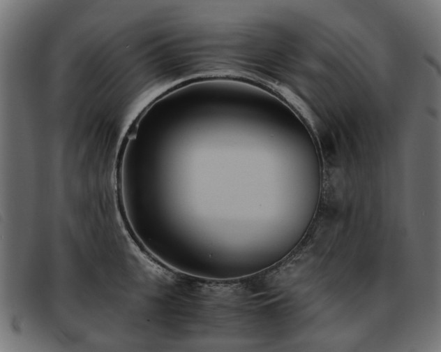 X0000093590951200710151201