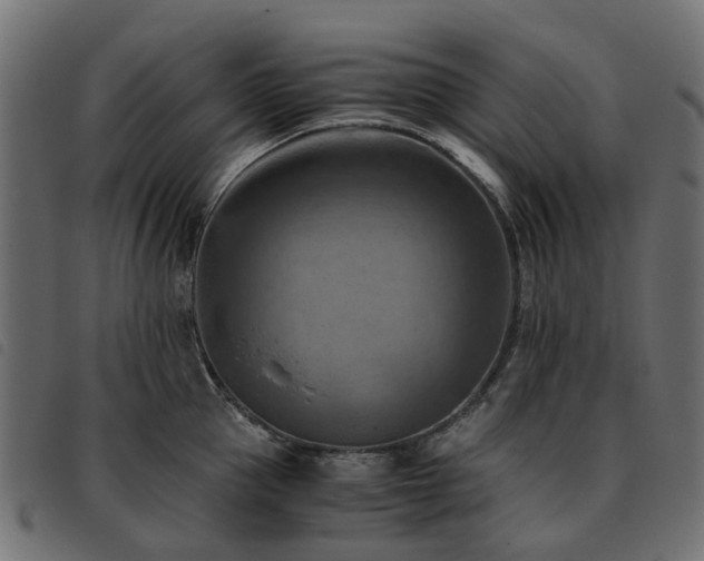 X0000093590953200710151201
