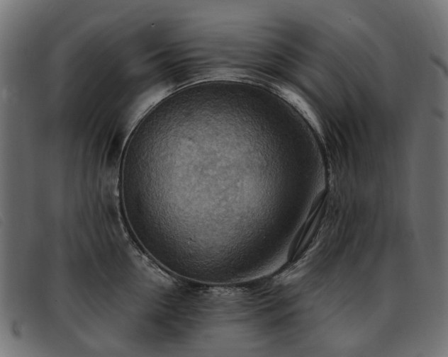 X0000093590954200710151201
