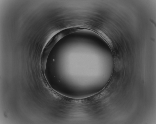 X0000093590956200710151201