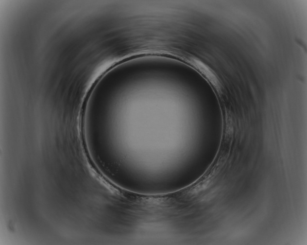 X0000093590958200710151201