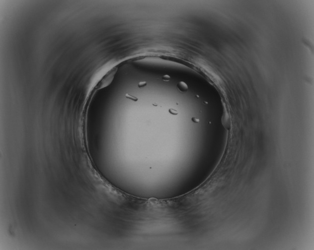X0000093590960200710151201