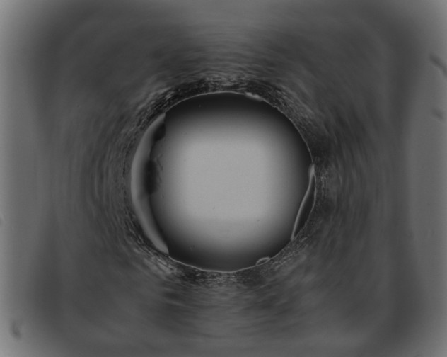 X0000093590961200710151201