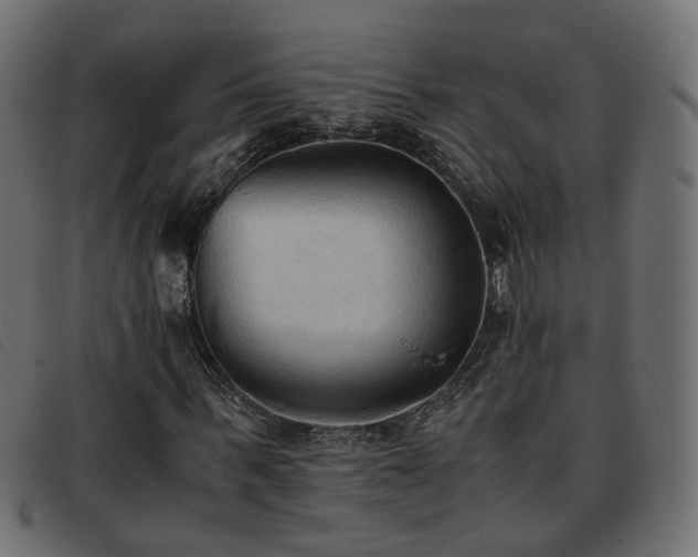 X0000093590963200710151201