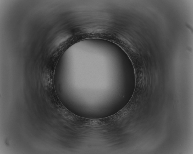 X0000093590966200710151201