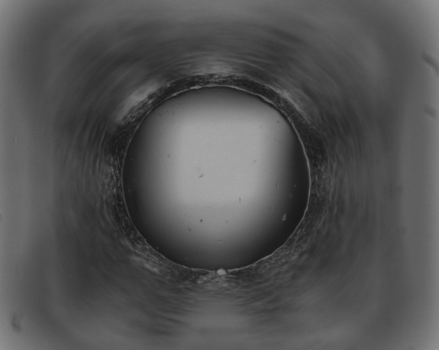 X0000093590967200710151201