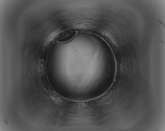 X0000093590968200710151201