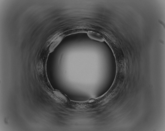 X0000093590969200710151201